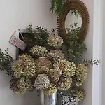 Casa Popi 말세진느